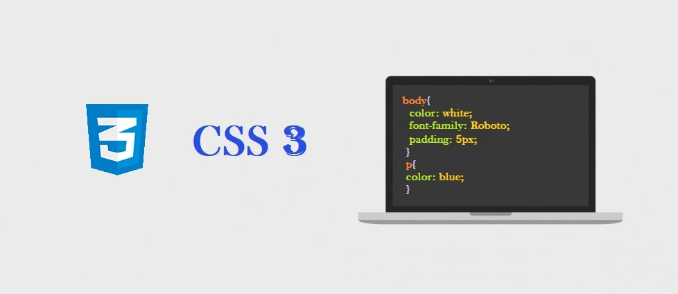 CSS 3